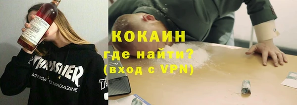 дживик Алексин
