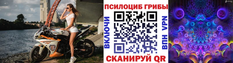 дарнет шоп Бабаево Галлюциногенные грибы MAGIC MUSHROOMS