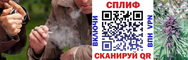 Шишки марихуана сатива  ссылка на мегу как войти  Бабаево 